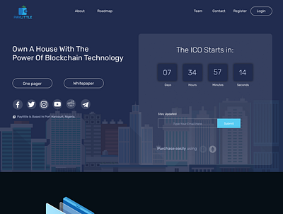 Paylittle ICO landing Page ui ux