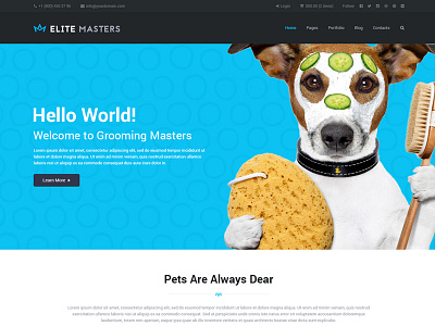 EliteMasters - Pets Grooming Page Concept