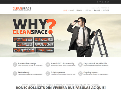 CleanSpace PSD Ready business clean corporate design psd web design