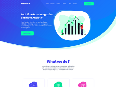 RapidData data analysis illustration ui ux web