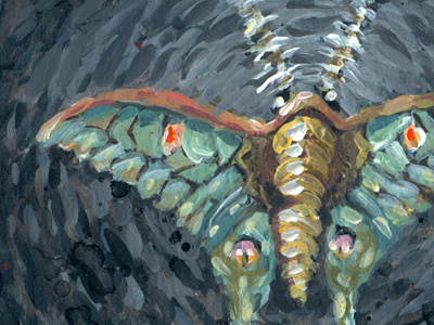 Moth illustration moth painting