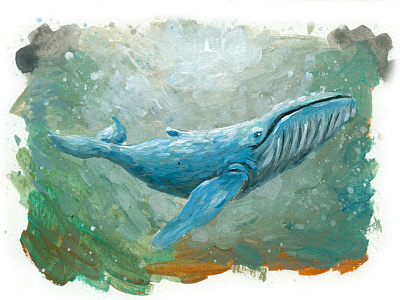 Whale acrylic illustration painting whale