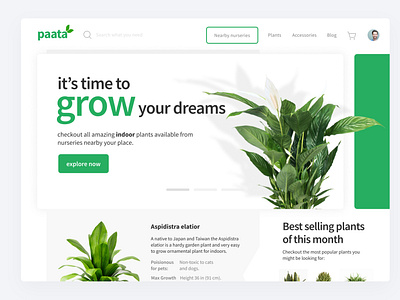 paata - a plants related online multi-vendor platform branding design ecommerce figma logo plants prototype storyboard ui ux vector website wireframe