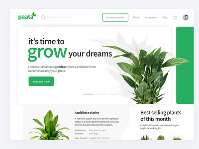 paata - a plants related online multi-vendor platform