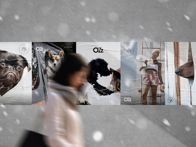 OZz Branding branding dog ozz pet poster
