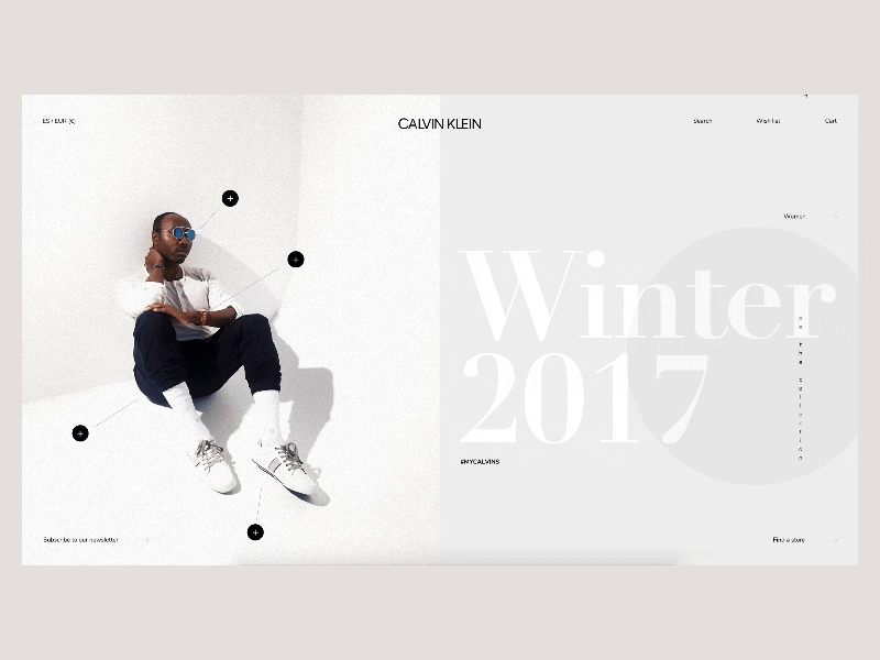 CK landing concept clean fashion luxury minimal web webdesign