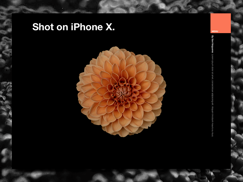 "Shot on iPhone X" concept