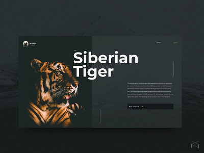 WildLife - UI Concept clean creative digital encyclopedia minimalism tiger ui ux web webdesign