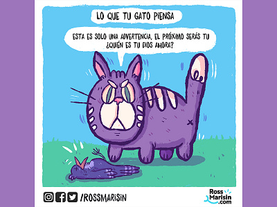 Gato