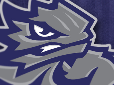 TCU Horned Frogs Concept 2012 branding horned frogs identity logo mascot tcu