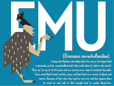 Emu bird design emu graphic illustrator typography vector zoo