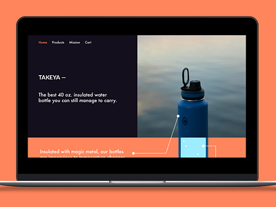 Takeya Landing Page dailyui product page
