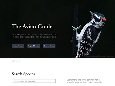 Avian Guide Mockup audubon audubon society bird identification birds ornithology