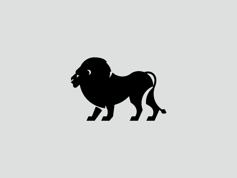 Lion 800x600