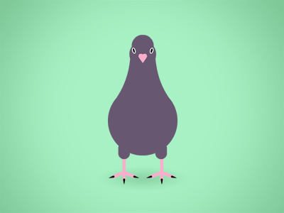 Pigeon Dance (animated) dance pigeon
