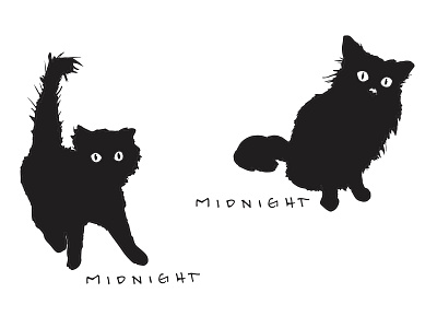 Midnight Tee Designs