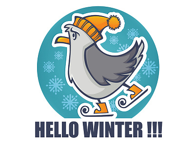 hello winter bird burgas seagull winter