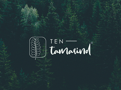 Ten tamarind logo design app icon illustration logo procreateapp typography vector