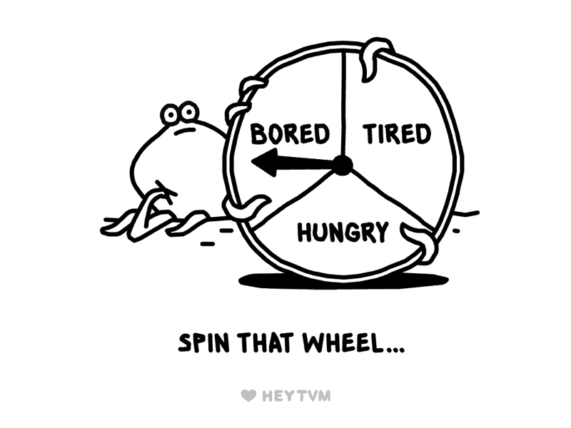 Spin that wheel