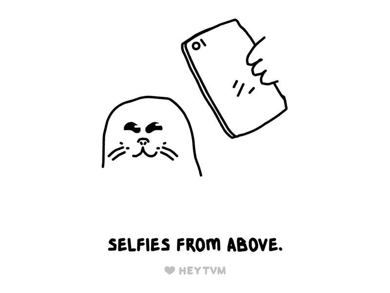 Selfies animation gif heytvm illustration selfies