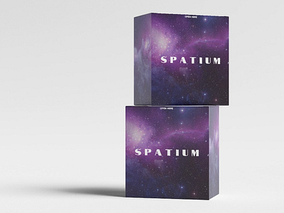 SPATIUM : logo mockup