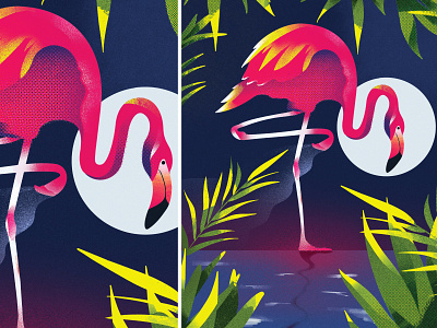 Flamingo animal bird colorful colors flamingo flat design illustration illustrations illustrator procreate