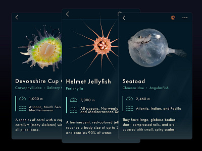 Deep Sea App iteration app ios ocean product design science sea life ux