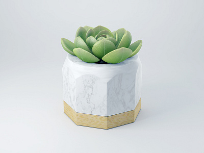 Marble and Wood cinema4d flower pot