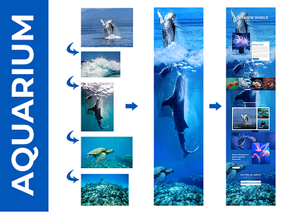 Aquarium World Web Design manipulation ui ux web design wordpress