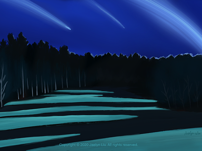 Original Illustration:Meteor artwork colors design drawings forest illustration lightning meteor night paintings sketch