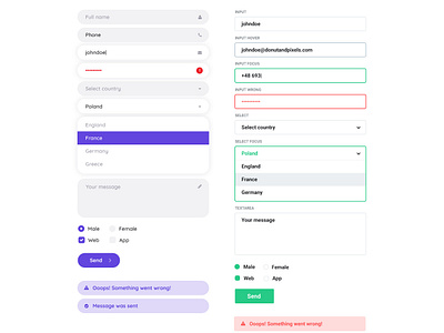 Freebie PSD: 2 different form styles by Donutandpixels on Dribbble