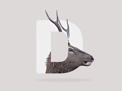 Deer deer design double effect exposure letter mask minimal type typography visual wild