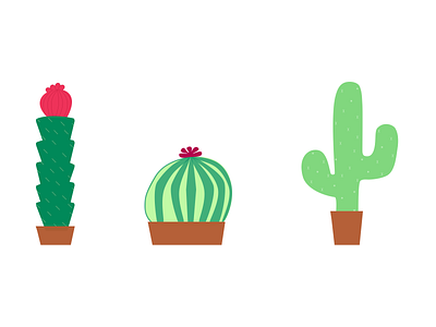 Cacti