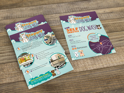 Dog Wash Flyer Design brand design brochure design graphic design logo logo design print typography