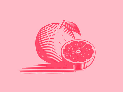 Grapefruit design drawing illustration illustrator packaging photoshop