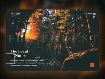 Forest - The Beauty of Nature banner beautiful creative design graphic minimal nature nature photography poster