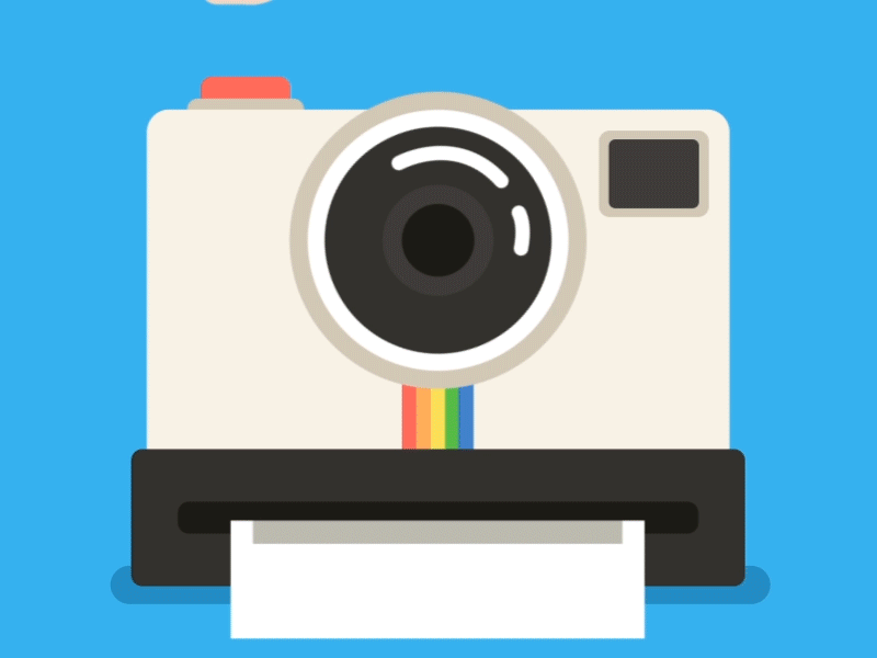 Say Cheese after animation camera daily design effects gif illustration loop motion polaroid vector