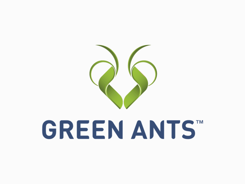 Green Ants Logo Construction after effects animation ants art brand green grid logo minimal mirror process