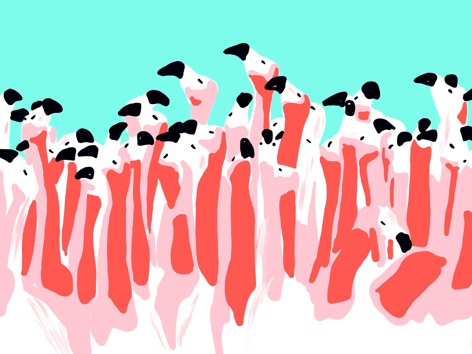 Tales of Creation #3 - Flamingos