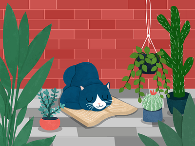 A sleeping cat illustration