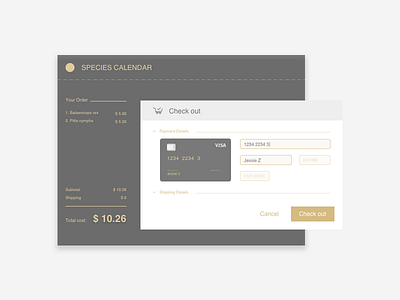 Daily UI #002 Credit Card Checkout checkout credit card daily ui ui ux