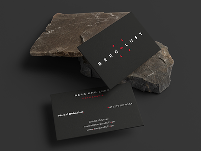 Berg + Luft business card business card