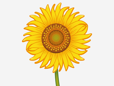 Sunflower florals floristry flower flowerillustration flowerpower illustration nationalflower sunflower sunflowerillustration ukraine vectorflower vectorillustration