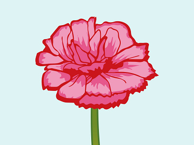 Carnation carnation carnationillustration florals floristry flower flowerillustration illustration nationalflower slovenia spain vectorflower vectorillustration