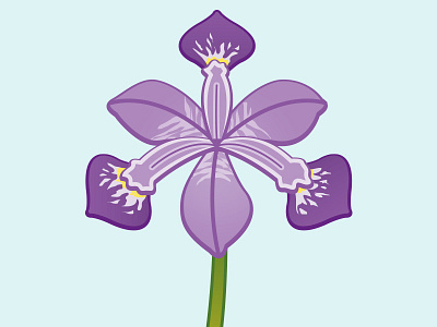 Iris Croatia flower flowerillustration illustration iris iriscroatia nationalflower vectorflower vectorillustration