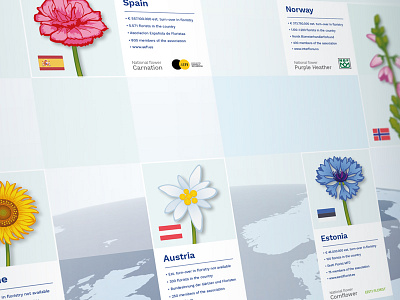 Close-up of a Wall Design closeup europe flags florint floristry flower flowerillustration nationalflower vectorflower walldesign