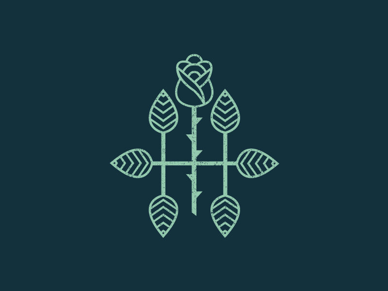 Rosebud by Jace Goodwin on Dribbble