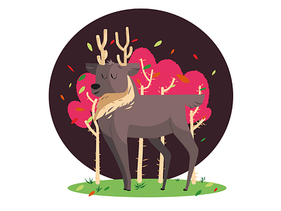 Illustration- Deer adobe animation deer design graphic illustration illustrator ui ux vector web