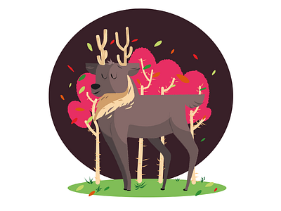 Illustration- Deer