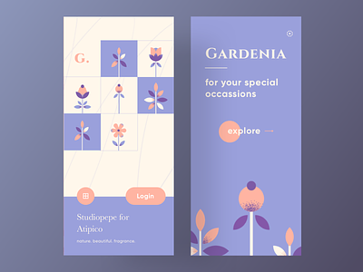 Gardenia - Plants & Flowers for your special occassions